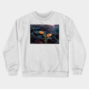 Tiger lilies and sunlight Crewneck Sweatshirt